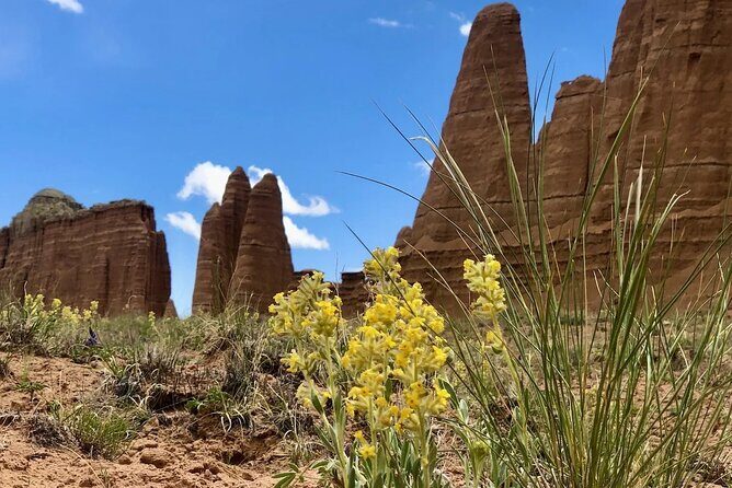 Capitol Reef Private Tour in Cathedral Valley and Bentonite Hills - FAQs