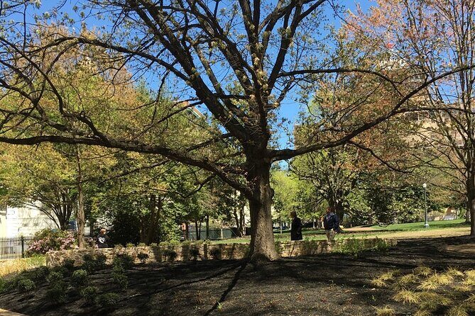 Capitol Steps and Stories Walking Tour - What to Expect from the Tour