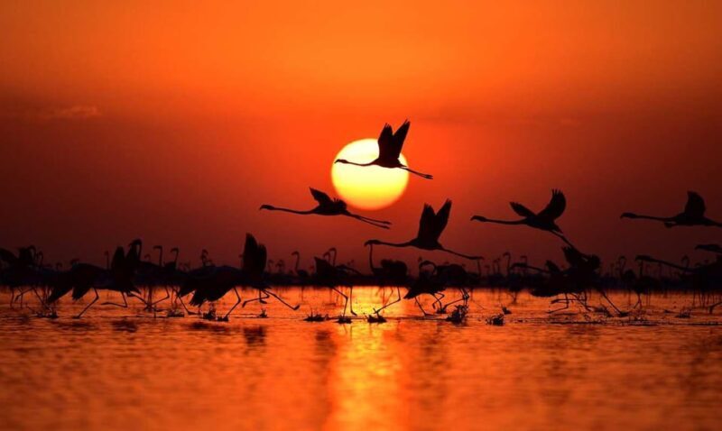 Cappadocia Amazing Sunset Tour To Salt Lake - The Sum Up