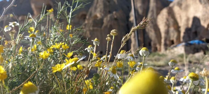 Cappadocia: Archaeological Green Tour with Local Guide - Final Thoughts: Who Should Consider This Tour?