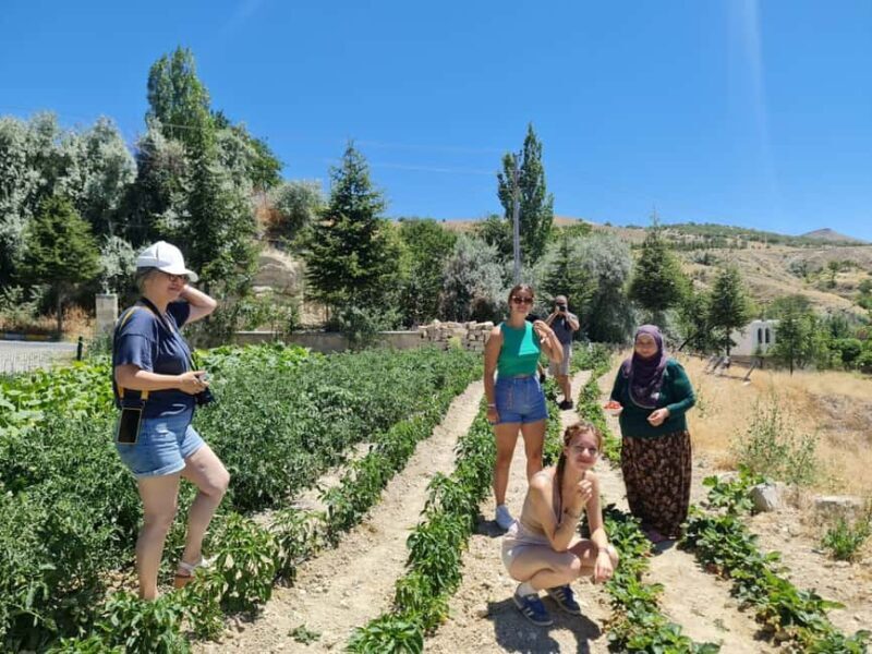 Cappadocia: Beekeeping Experience with Honey Tasting - The Itinerary Breakdown