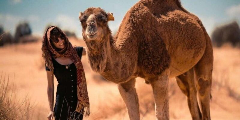 Cappadocia Camel Ride among the Fairy Chimneys - Frequently Asked Questions