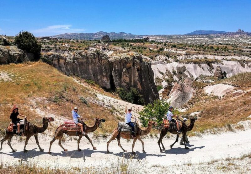 Cappadocia: Camel Safari - An In-Depth Look at the Camel Safari Tour