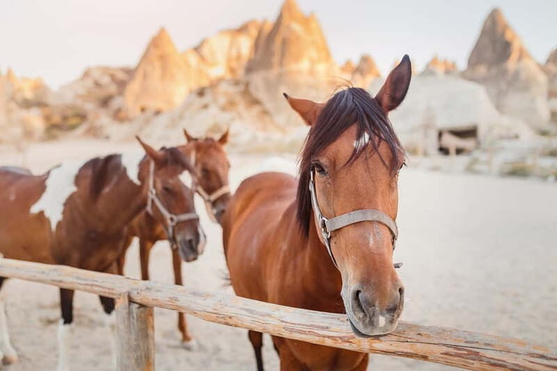 Cappadocia: Göreme Horse Riding, Fairy Chimneys w/Transfer - Final Thoughts: Is It Worth It?
