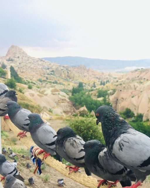 Cappadocia Green Tour - FAQs
