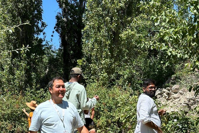 Cappadocia Green Tour Wthout Walking in Valley With Lunch,Ticket - Why This Tour Stands Out