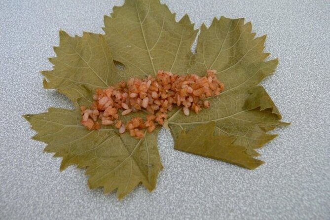 Cappadocia Home Cooking Experience - Practical Details and Tips