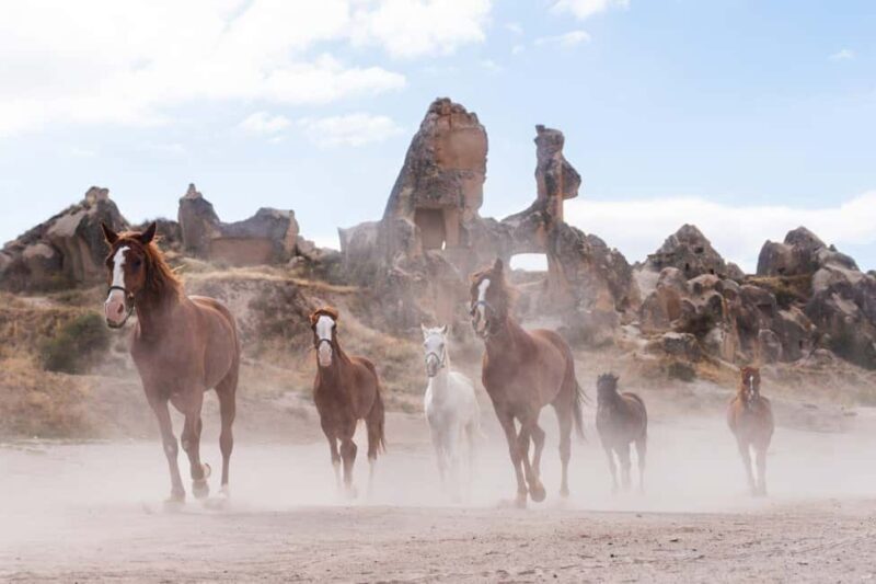 Cappadocia :Horseback Riding Tour Rose-Red Valley/LoveValley - Key Points