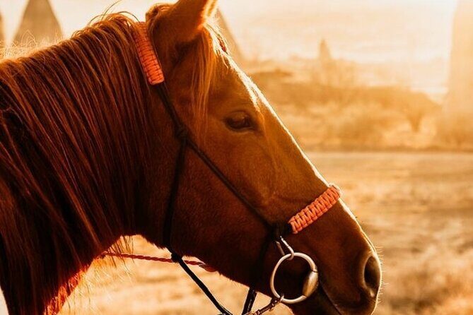 Cappadocia Horseback Riding Tour (Transfer Included) - The Guides and Service