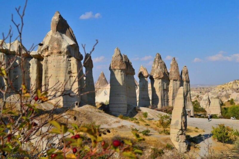 Cappadocia Red Tour with Goreme Open Air Museum and Pasabag - The Bottom Line: Is this Tour Right for You?