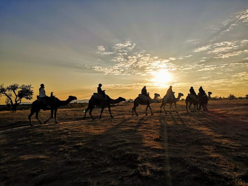 Cappadocia: Sunrise Camel Safari - What to Expect from the Sunrise Camel Safari