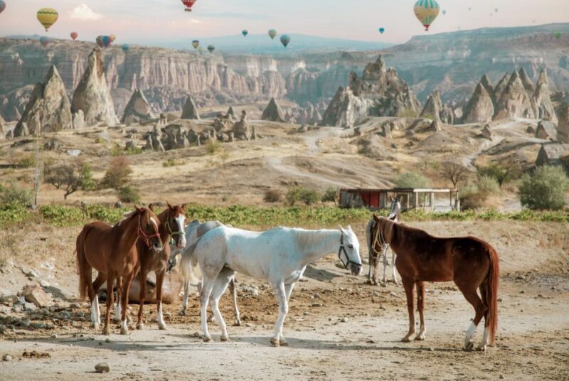 Cappadocia: Sunset Horseback-Riding Tour - Who Is This Tour Best For?