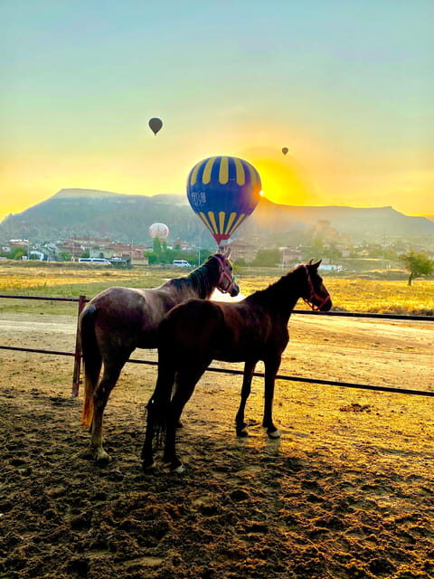 Cappadocia's Sunrise Horseback Riding - What to Expect from the Sunrise Horseback Riding Tour