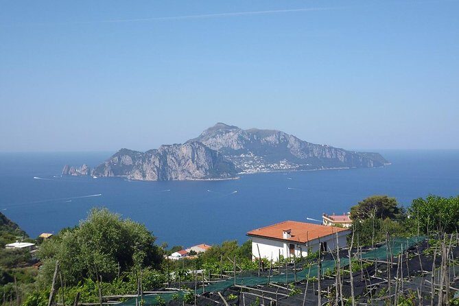 Capri, Blue Grotto, Sorrento and Pompeii from Positano or Amalfi - Who Would Love This Tour?