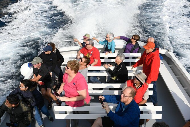 Capri Coast to Coast: Boat Tour with Optional Blue Grotto - Practical Tips for Booking and Enjoying the Tour