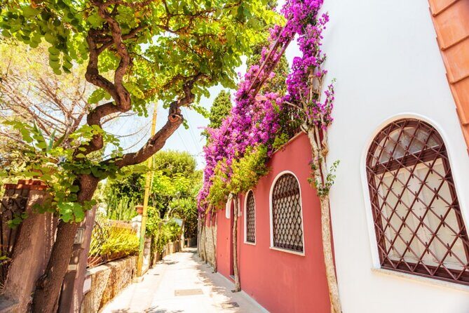 Capri Luxury Private Boat Tour: Day Trip from Rome by Train - Final Thoughts