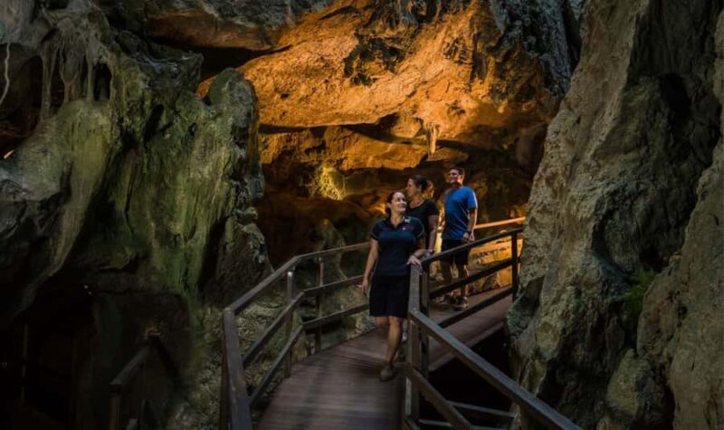 Capricorn Caves, Australia: 45-Minute Cathedral Cave Tour - Exploring the Capricorn Caves: What to Expect