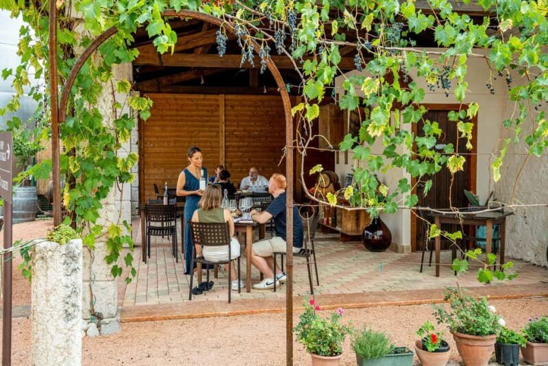 Caprino: tour and tasting of 3 wines in a Small Estate - Exploring the Charm of a Small Lake Garda Winery: A Detailed Review