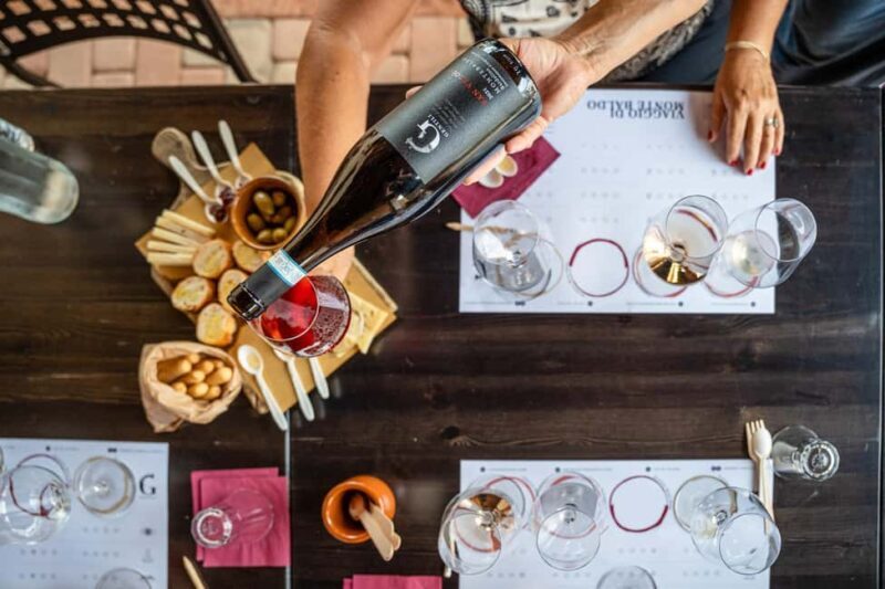 Caprino: tour and tasting of 3 wines in a Small Estate - The Itinerary and What to Expect