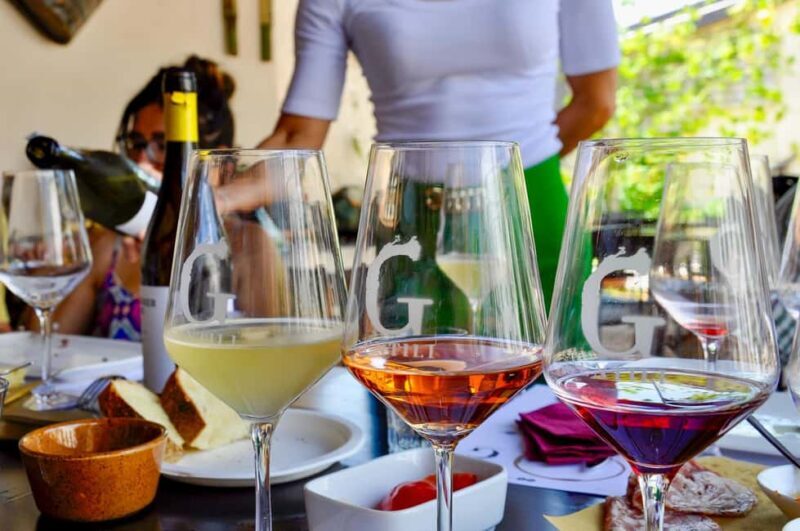 Caprino: tour and tasting of 3 wines in a Small Estate - The Experience’s Atmosphere