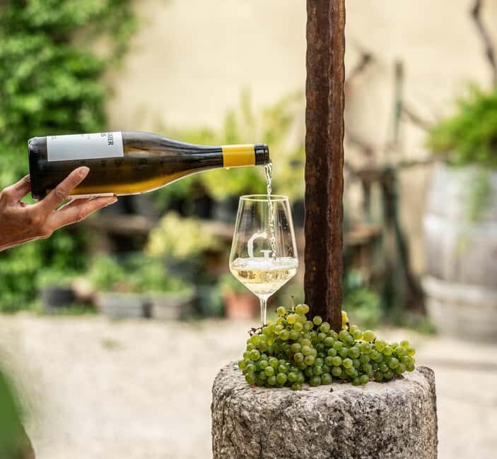 Caprino: tour and tasting of 3 wines in a Small Estate - Price and Value