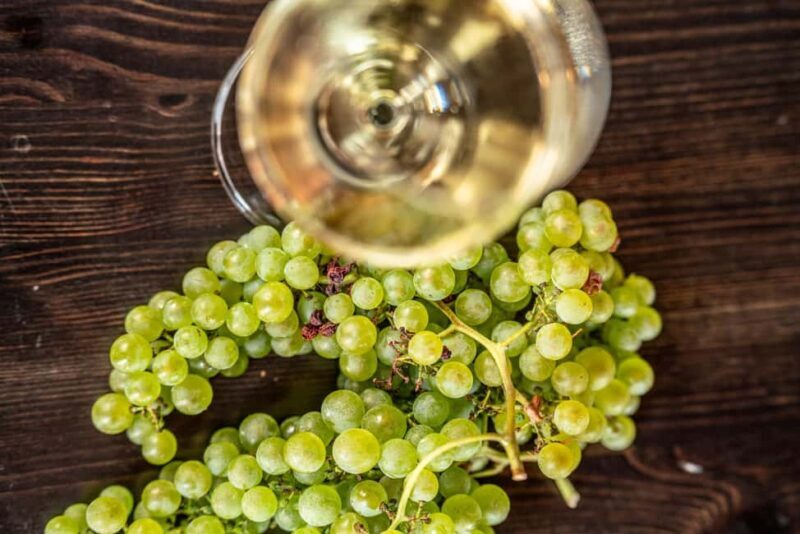 Caprino: tour and tasting of 3 wines in a Small Estate - Accessibility and Practicalities