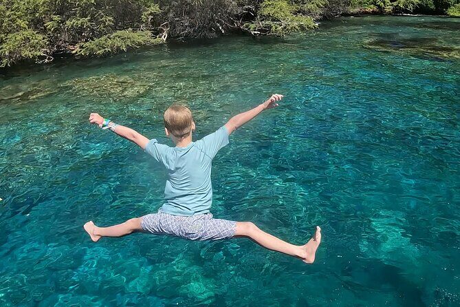 Captain Cook Reef Snorkeling of Kealakekua Bay - An Overview of the Experience