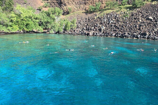 Captain Cook Reef Snorkeling of Kealakekua Bay - FAQs