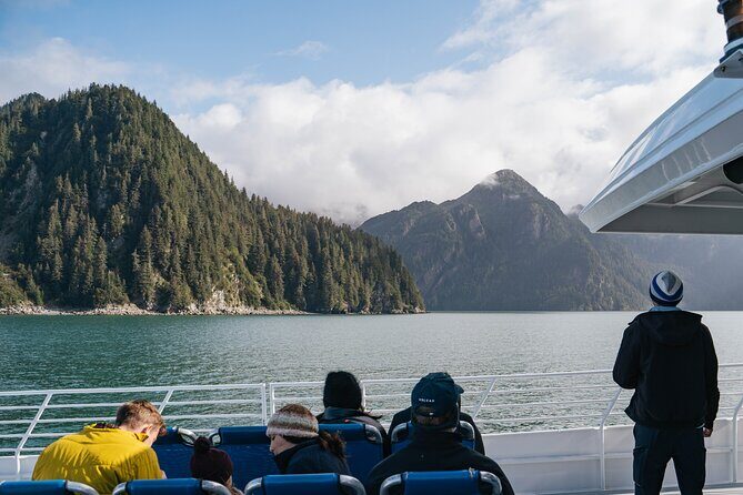 Captain's Choice Kenai Fjords National Park Tour from Seward - What to Expect from the Itinerary