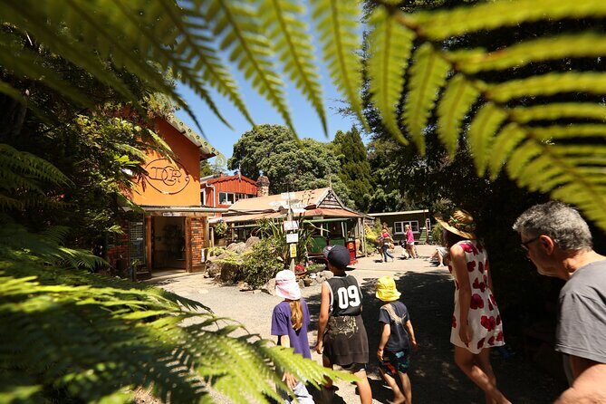 Captivating Railway Journey in Coromandel - What Is the Driving Creek Railway?