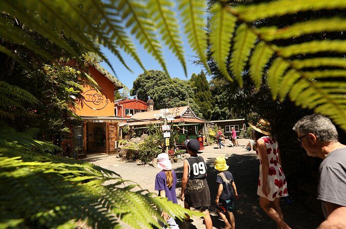 Captivating Railway Journey in Coromandel - The Guides & Storytelling