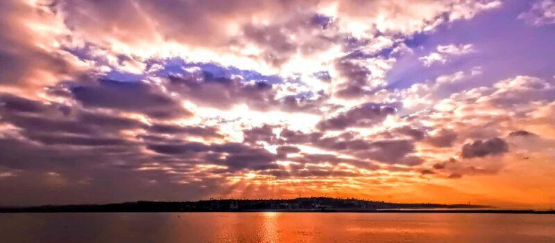 Capture LA's Coastal Magic-Wildlife, Marina Photography Tour - The Photography Learning Aspect