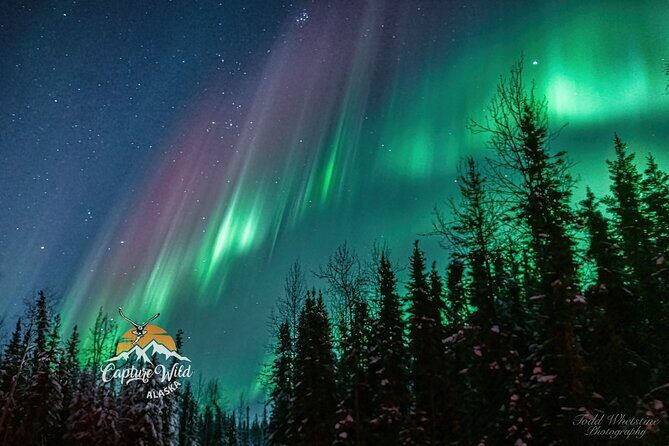 Capturing the Ethereal Beauty: Northern Lights Photo Workshop - Key Points
