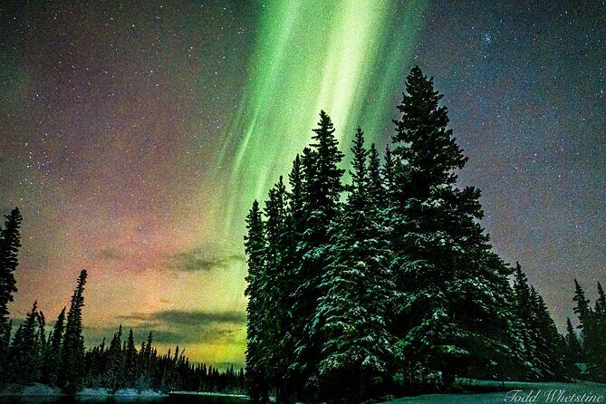 Capturing the Ethereal Beauty: Northern Lights Photo Workshop - The Experience Starts in Fairbanks