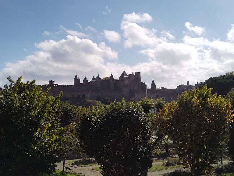 Carcassonne: Private Guided Tour with Castle Entry Ticket - Who Is This Tour Best For?