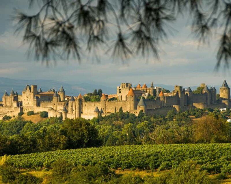 Carcassonne Small Group Half-day tour from Toulouse - Who Is This Tour Best Suited For?