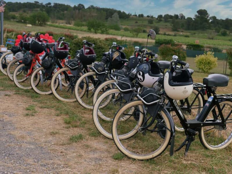 Carcassonne: Solex tour with guide and wine tasting - Key Points