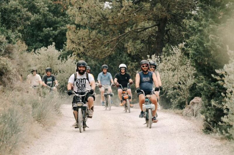 Carcassonne: Solex tour with guide and wine tasting - How This Tour Stands Out