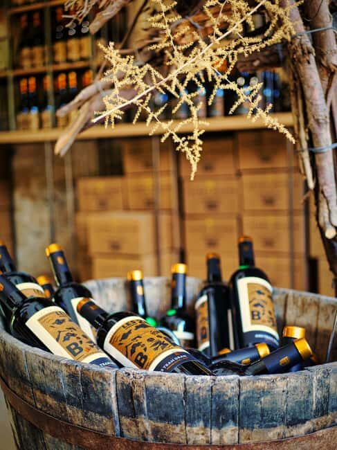 Carcassonne: Solex tour with guide and wine tasting - The Ride: What You Need to Know