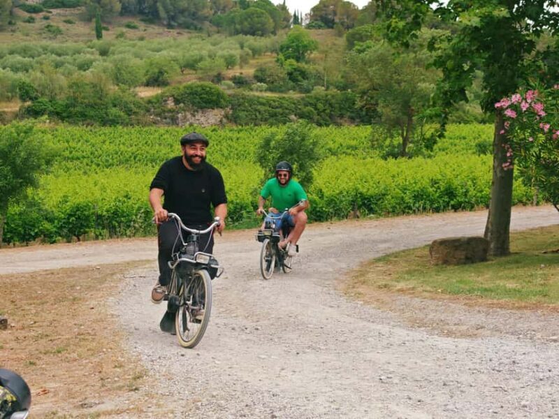 Carcassonne: Solex tour with guide and wine tasting - Who Will Love This Tour?