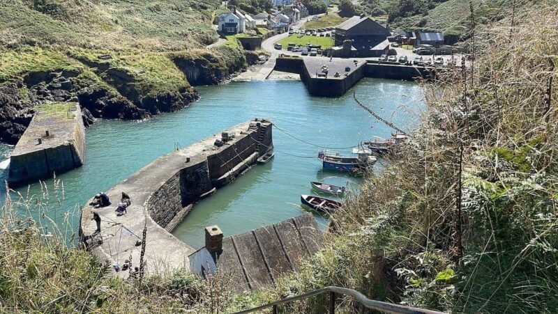 Cardiff: Pembrokeshire Coast & St. Davids Private Voyage - The Scenic Journey Begins: From Cardiff to Pembrokeshire