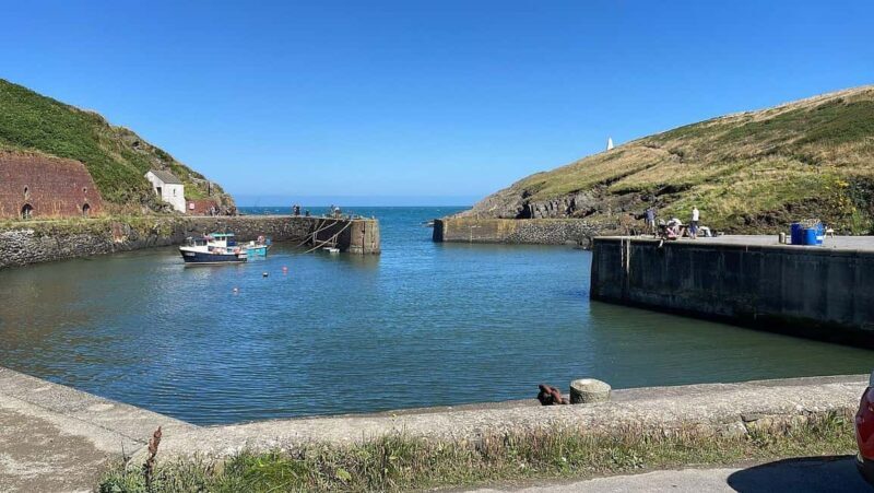 Cardiff: Pembrokeshire Coast & St. Davids Private Voyage - Lunch and Leisure in St. Davids
