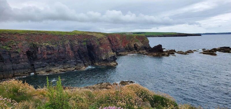 Cardiff: Pembrokeshire Coast & St. Davids Private Voyage - Coastal Highlights and Hidden Gems