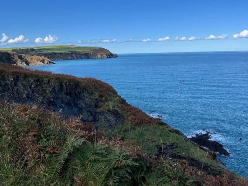 Cardiff: Pembrokeshire Coast & St. Davids Private Voyage - The Sum Up
