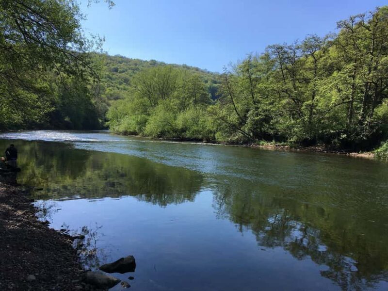 Cardiff: Wye Valley & Tintern Abbey Private Day Voyage - What to Expect from Your Day in Wye Valley and Tintern Abbey