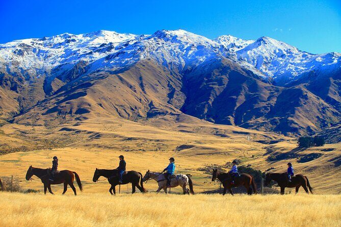 Cardrona High Country Pub Trail Horse Trek (Intermediate level+) - An Overview of the Cardrona High Country Pub Trail Horse Trek