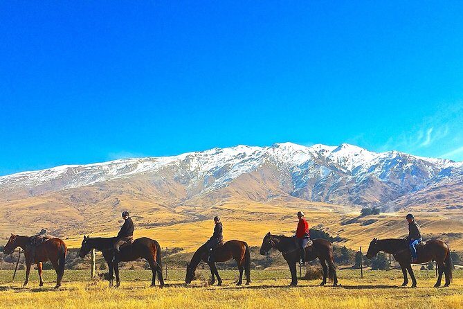 Cardrona High Country Pub Trail Horse Trek (Intermediate level+) - The Riding Experience: Who Will Enjoy It?