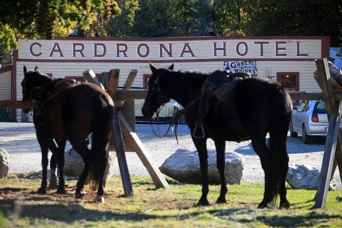 Cardrona High Country Pub Trail Horse Trek (Intermediate level+) - Value for Money