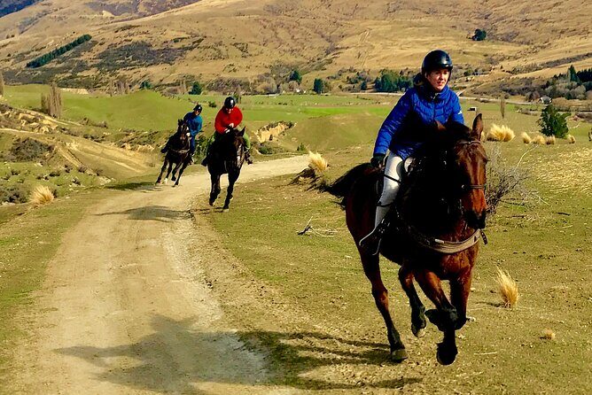 Cardrona High Country Pub Trail Horse Trek (Intermediate level+) - Group Size and Timing