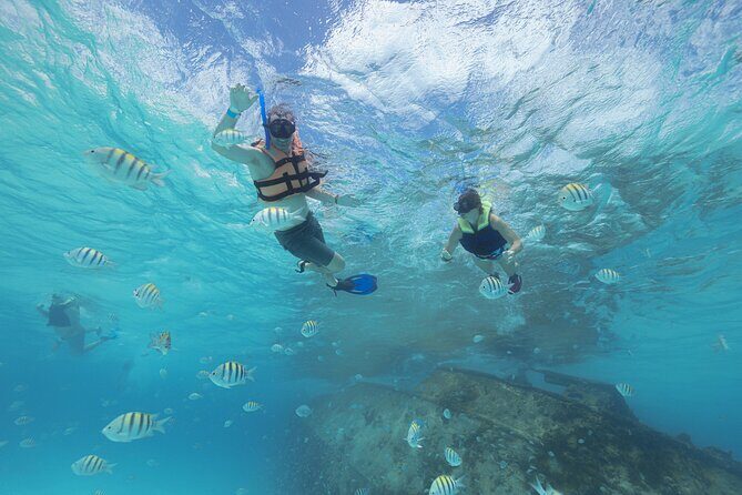 Caribbean Star Snorkeling Tour - An Honest Look at the Caribbean Star Snorkeling Tour